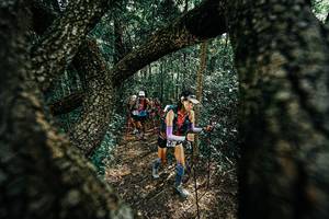 BIB: 
                            <button type="button" onclick="openModal(25392170)" class="btn btn-primary btn-sm float-right btn-popup" data-toggle="modal" data-target=".modal-high-quality">
                        <i class="fas fa-shopping-cart"></i> Add to Cart
                    </button>
                                            <button type="button" onclick="isThisMe(25392170, true)" class="btn btn-success btn-sm float-right btn-popup btn-isme hidden" data-toggle="tooltip" data-placement="bottom" title="นี่คือรูปของคุณใช่ไหม คลิกที่นี่เพื่อเอาเข้าอัลบั้ม">
                        <i class="fas fa-plus"></i> Add to album
                    </button>
                    <button type="button" onclick="isThisMe(25392170, false)" class="btn btn-warning btn-sm float-right btn-popup btn-isnotme hidden">
                        <i class="fas fa-ban"></i> Remove from album
                    </button>